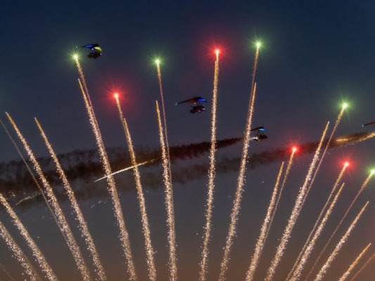 Fire Moths