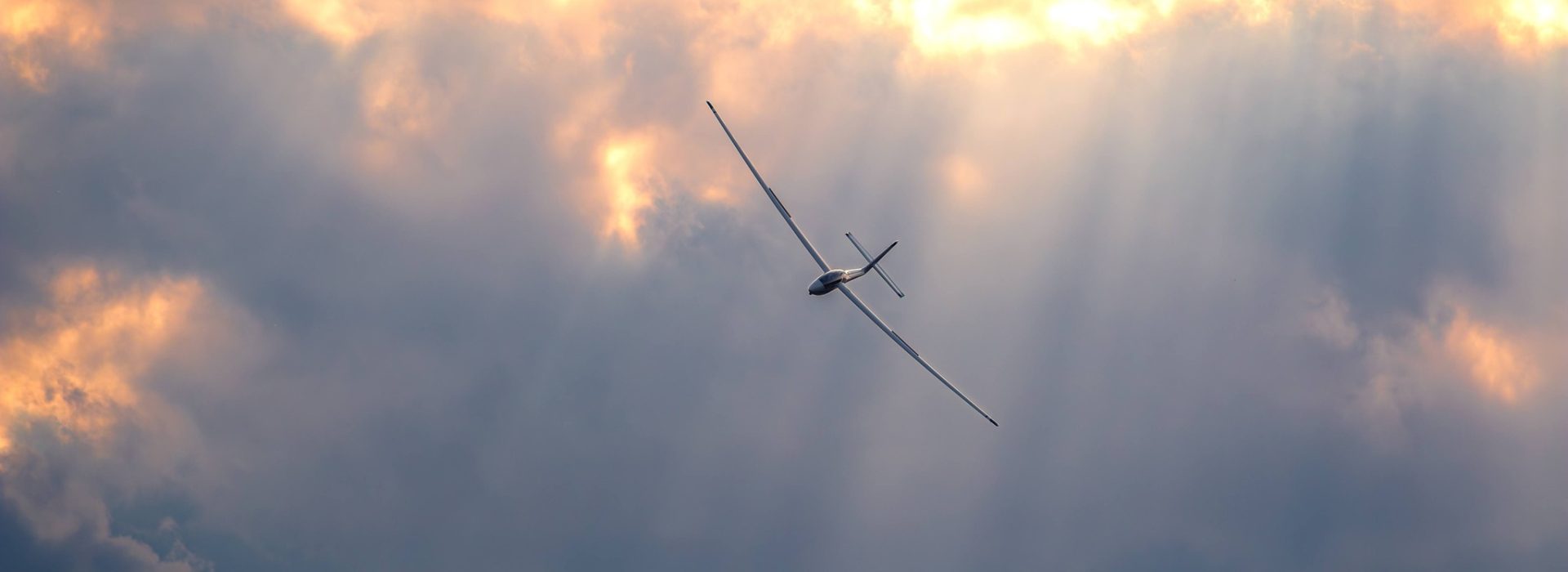 SZD Allstar PZL Glider