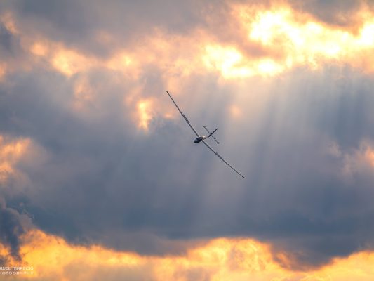 SZD Allstar PZL Glider